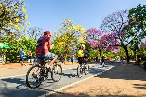 Personnes se reposant dans le parc Ibirapuera — Photo