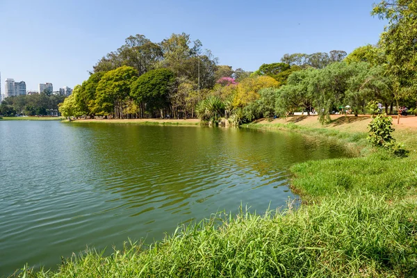 Green lake surrounded by trees in Park — Stock Photo, Image