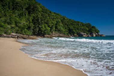 Brezilya güzel kıyılarında