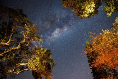 güzel gökyüzü yıldızlarla