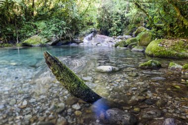 Serrinha do Alambari Environmental Protection Area