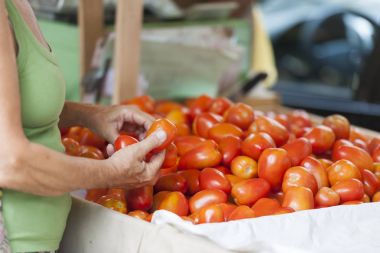 CIR organik ürünler Fuarı domateslere seçtiğiniz kişi