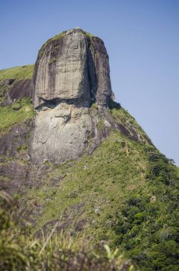 Pedra Bonita Trail, Rio de Janeiro