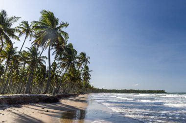 Cueira plaj manzarası