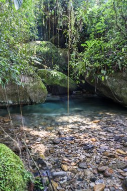 Serrinha do Alambari Environmental Protection Area