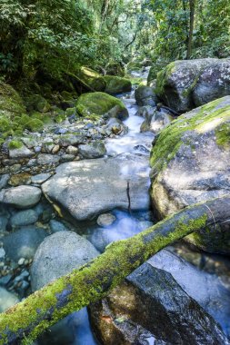 Serrinha do Alambari Environmental Protection Area