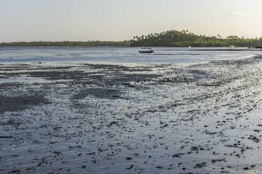 Morer plaj manzarası