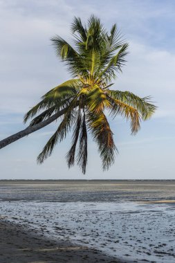 Morer plaj manzarası