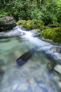 Serrinha do Alambari Environmental Protection Area