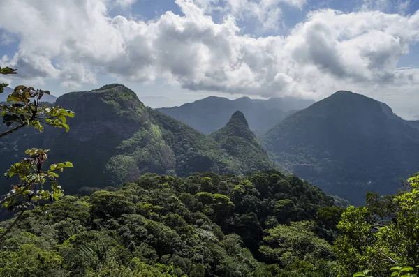 Pedra Bonita Trail, Río de Janeiro — Foto de Stock