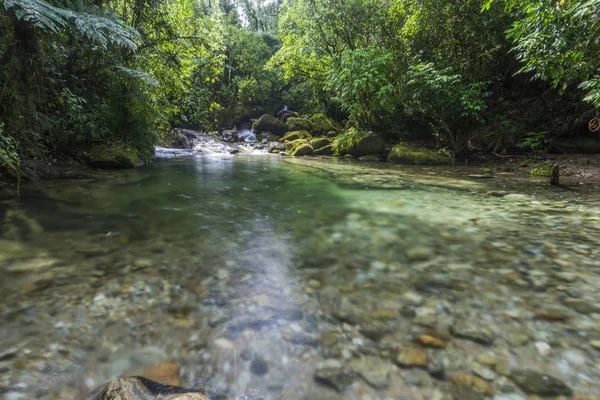 Serrinha do alambari área de proteção ambiental — Fotografia de Stock