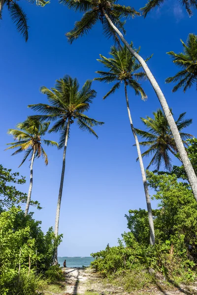 Bainema vista para a praia — Fotografia de Stock