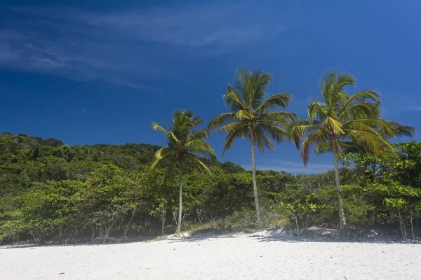 Esquina derecha de Lopes Mendes Beach — Foto de Stock