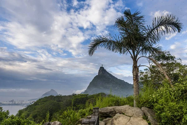 Sunrise in Mirante Dona Marta