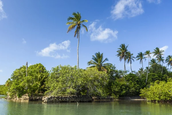 Ponta dos Castelhanos, Brasil — Fotografia de Stock