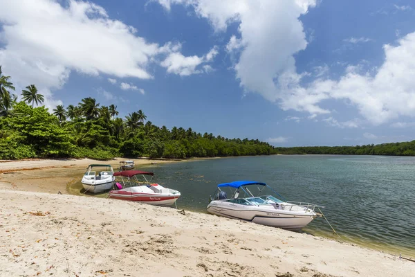 Ponta dos Castelhanos, Brasil — Stok fotoğraf