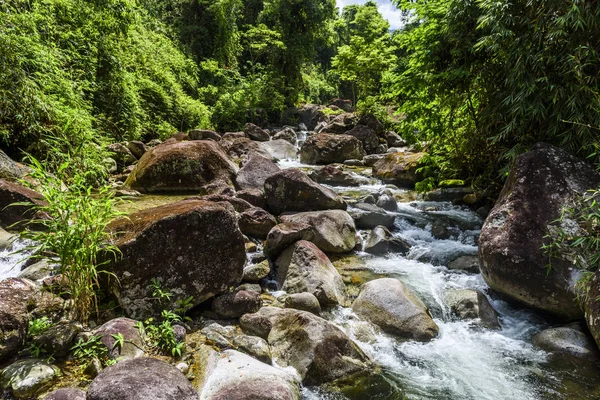 Serrinha do Alambari Environmental Protection Area — Stok fotoğraf