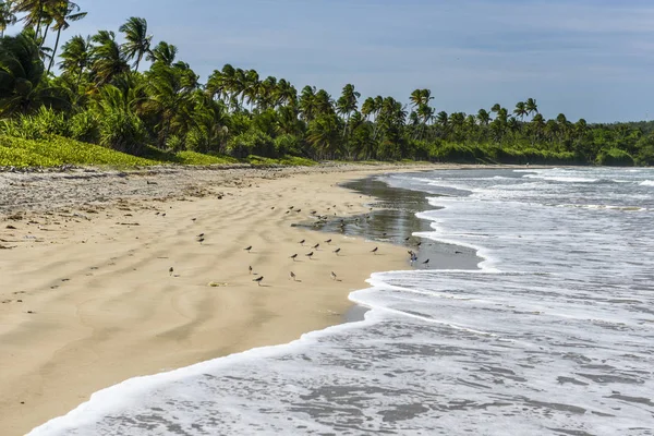 Bainema vista para a praia — Fotografia de Stock