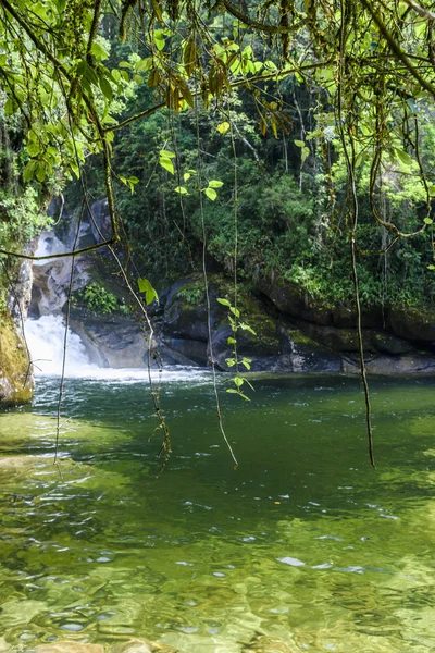 Serra da Mantiqueira Itatiaia Milli Parkı — Stok fotoğraf