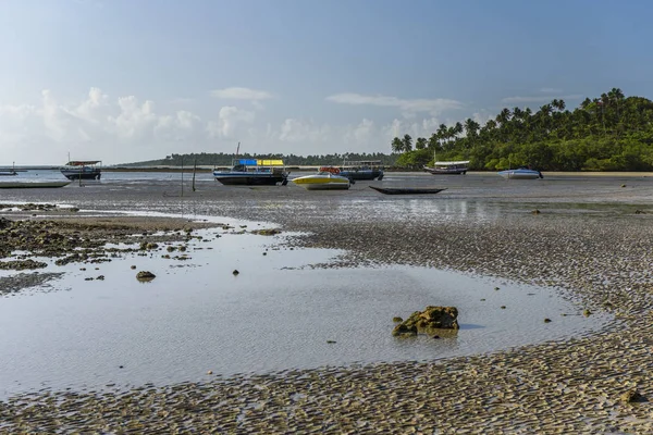 Morer Vue sur la plage — Photo