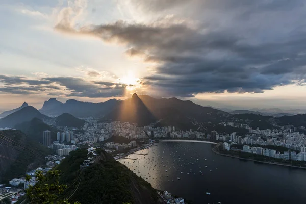 Po from Acar, Urca, Rio de Janeiro — 스톡 사진