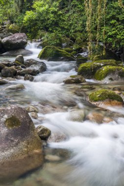 Serrinha do Alambari Environmental Protection Area