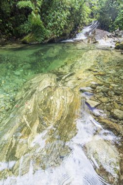 Serrinha do Alambari Environmental Protection Area