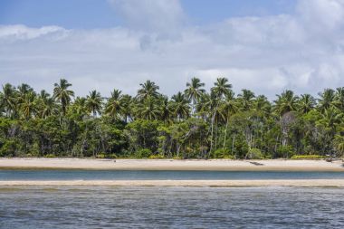 Ponta dos Castelhanos, Brasil
