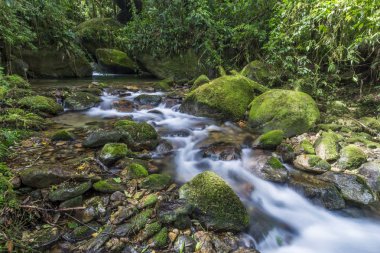 Serrinha do Alambari Environmental Protection Area