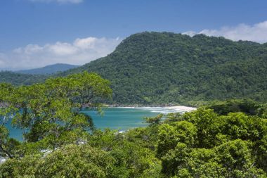 Sono Beach, yeşil sahil