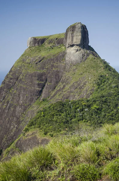 Pedra Bonita Trail, Rio de Janeiro — стокове фото