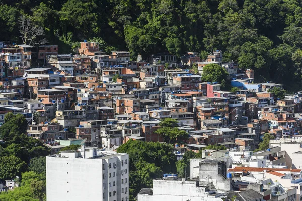 Favela nella giungla, distretto di Copacabana — Foto Stock