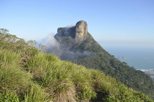 Pedra Bonita Trail, Rio de Janeiro — 스톡 사진