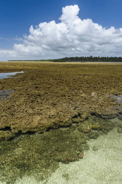 Ponta dos Castelhanos, Brasil — Stok fotoğraf