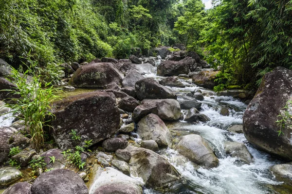 Serrinha do Alambari Environmental Protection Area — стокове фото