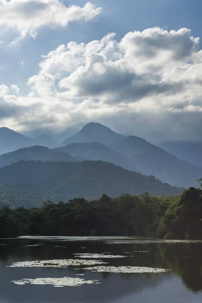 Reserva Ecológica de Guapiacu — Foto de Stock