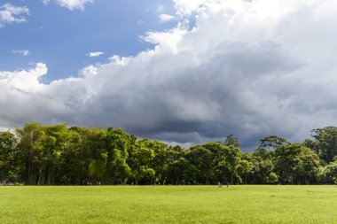 Ibirapuera Parkı görünümü