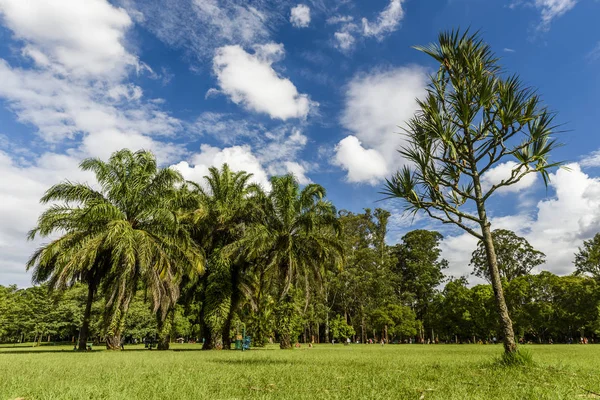 Ibirapuera Vista al Parque — Foto de Stock