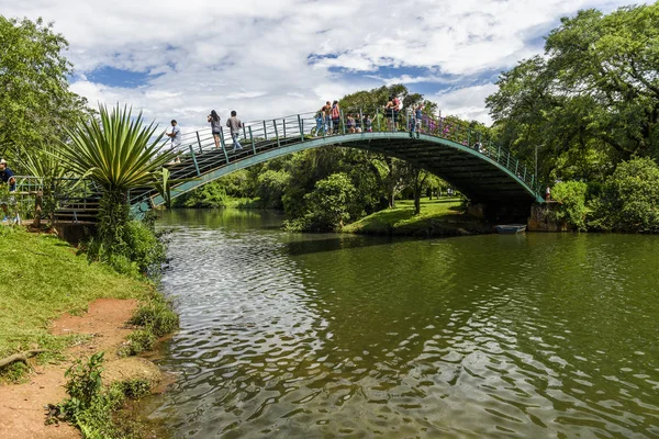 Ibirapuera Vista al Parque — Foto de Stock