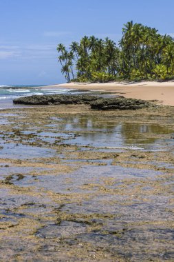 Bombay Beach Barra Grande
