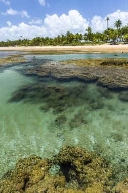Taipu de Fora beach, Brazil