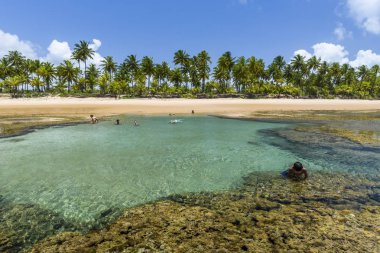 Taipu de Fora beach, Brazil