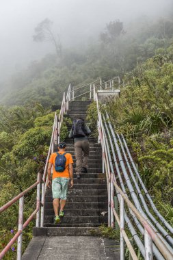 Rio De Janeiro, Brezilya, Mayıs 2017: Yürüyüş yukarı merdiven üstünde Pico da Kaledonya Trs Picos State Park, Rio de Janeiro, Brezilya içinde