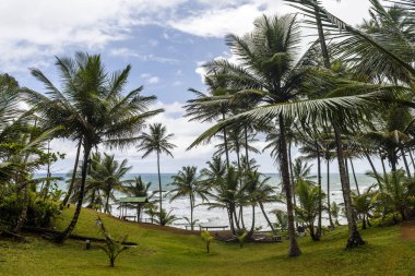 Havaizinho Beach, Itacar