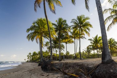 Taipu de Fora beach, Brazil