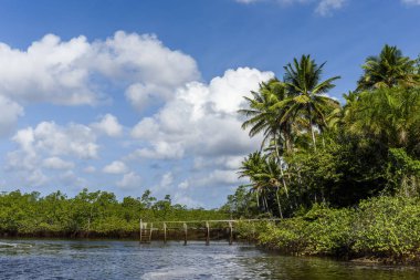 Camamu için tekne gezisinden Barra Grande