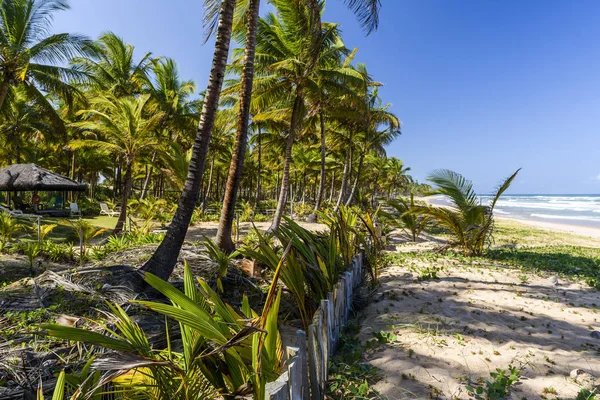 Playa de Taipu de Fora, Brasil — Foto de Stock