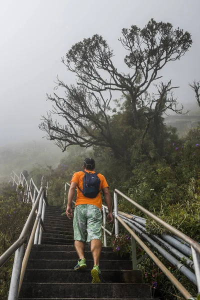 Rio Janeiro Brasil Maio 2017 Caminhando Pela Escadaria Cima Pico — Fotografia de Stock