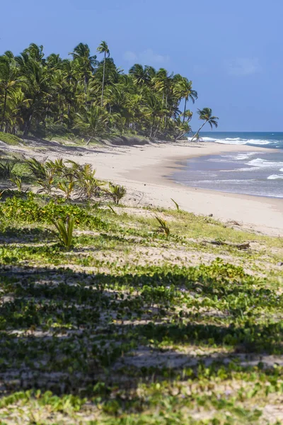 Praia de Taipu de Fora, Brasil — Fotografia de Stock