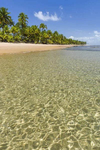 Taipu de Fora beach, Brazil — 스톡 사진